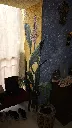 IMG_20260310_073900.webp